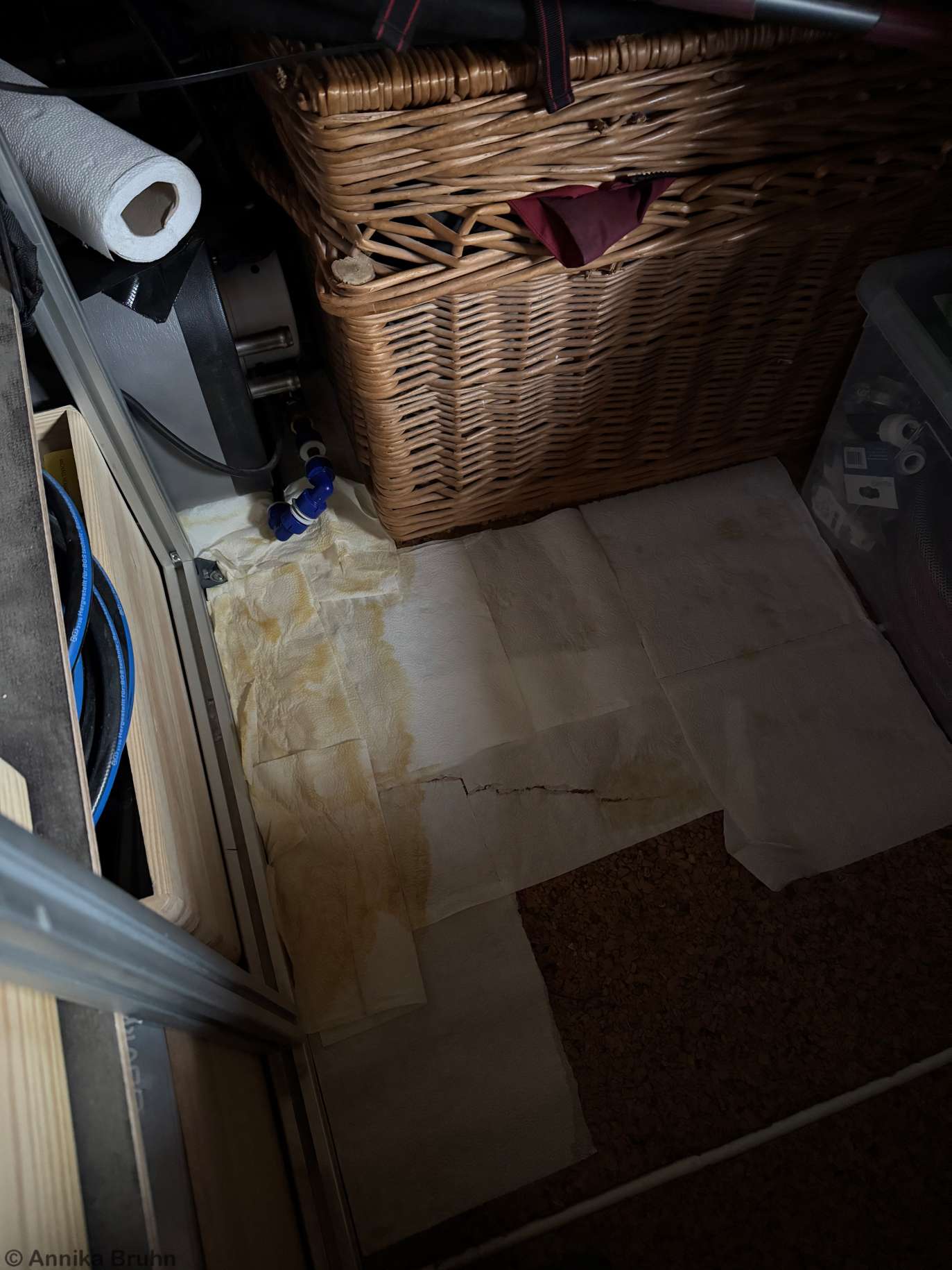 Die Küchenrolle hat ordentliche Arbeit geleistet